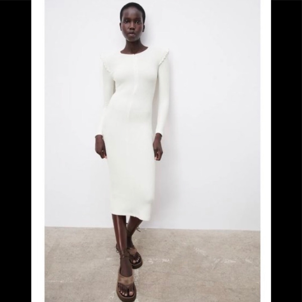 NWT Zara Dress